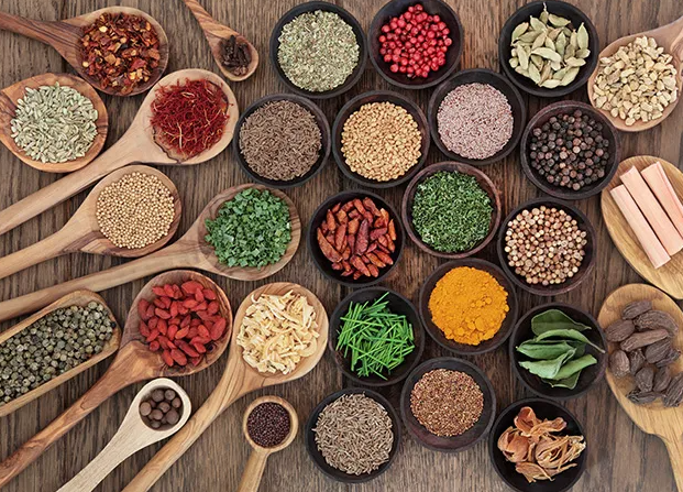 Zat Aditif pada Makanan
